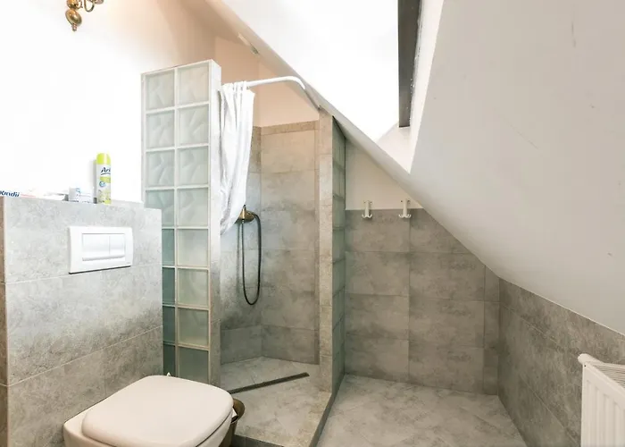 Dworek Kaszubski شقة *